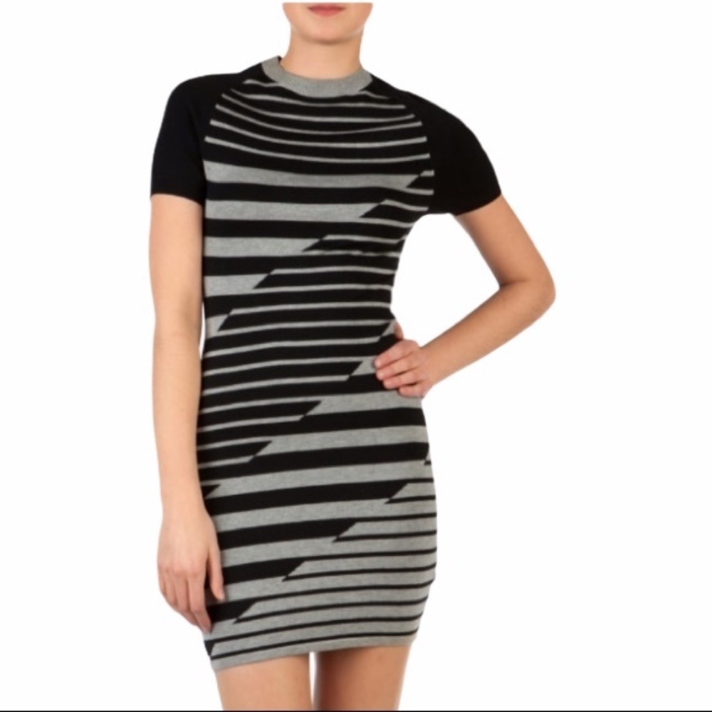 Ted Baker London Leya Stripe Intarsia Dress Size 2